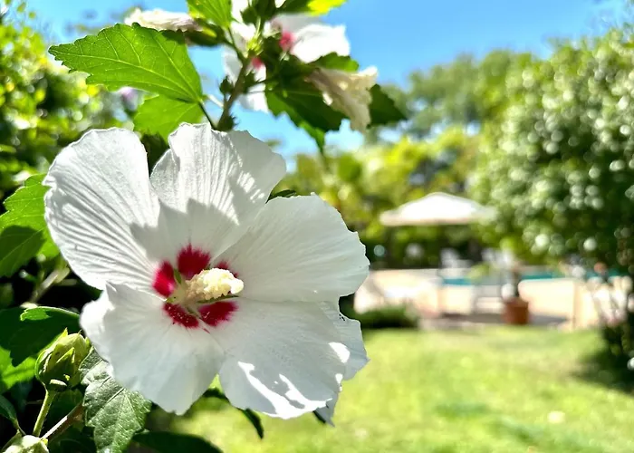 Aria - Menada アパート サニービーチ